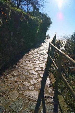 Trekking And Relax - Maremonti - Homy 5 Terre Appartement Vernazza Buitenkant foto