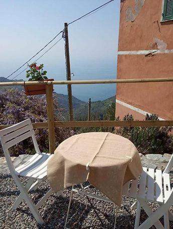 Trekking And Relax - Maremonti - Homy 5 Terre Appartement Vernazza Buitenkant foto