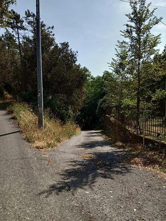 Trekking And Relax - Maremonti - Homy 5 Terre Appartement Vernazza Buitenkant foto